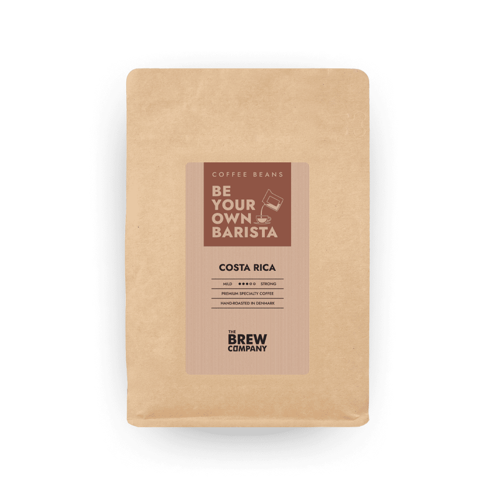 Costa Rica Specialty coffee beans - Specialty Coffee beans - 333gr - The Brew Company