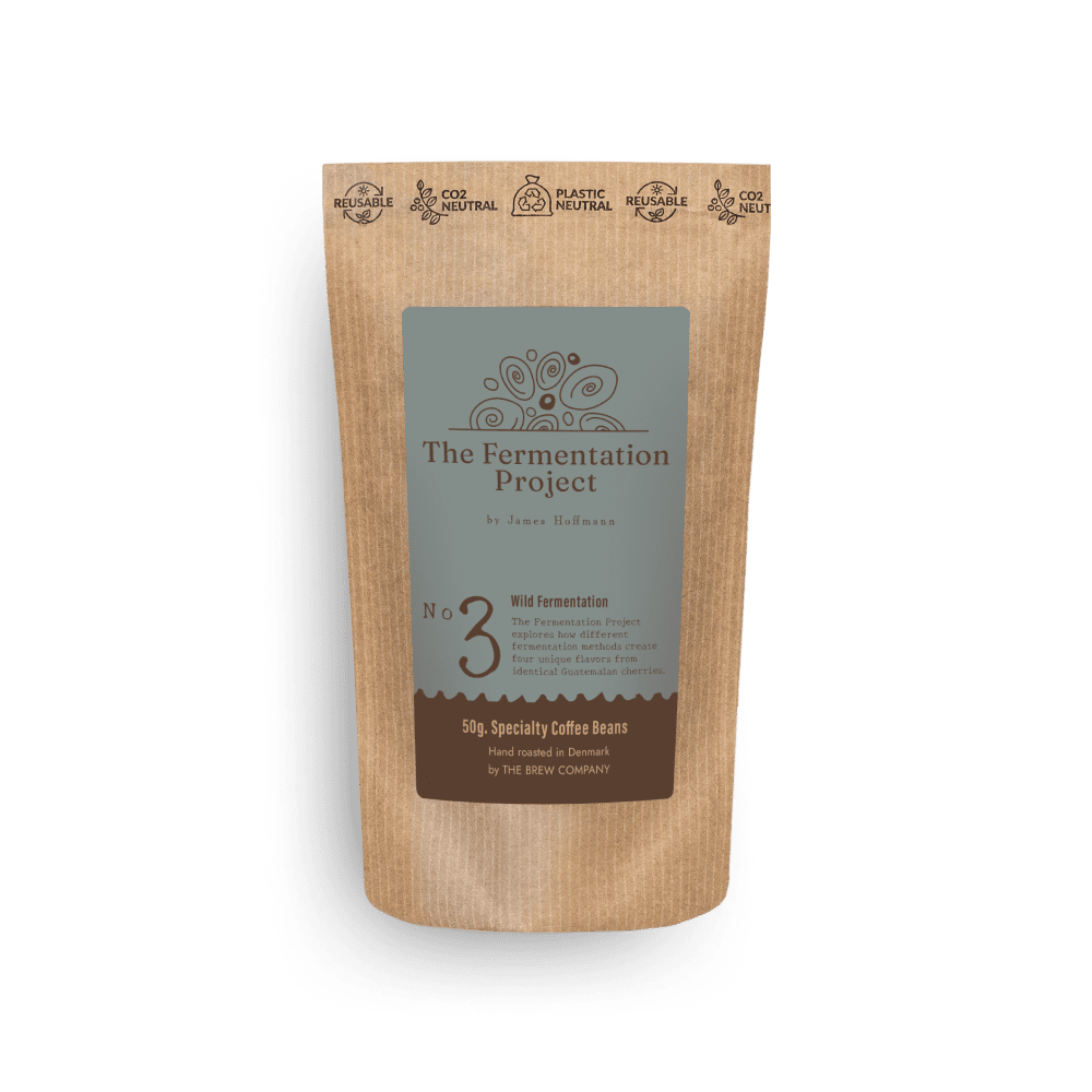 Fermentation Project