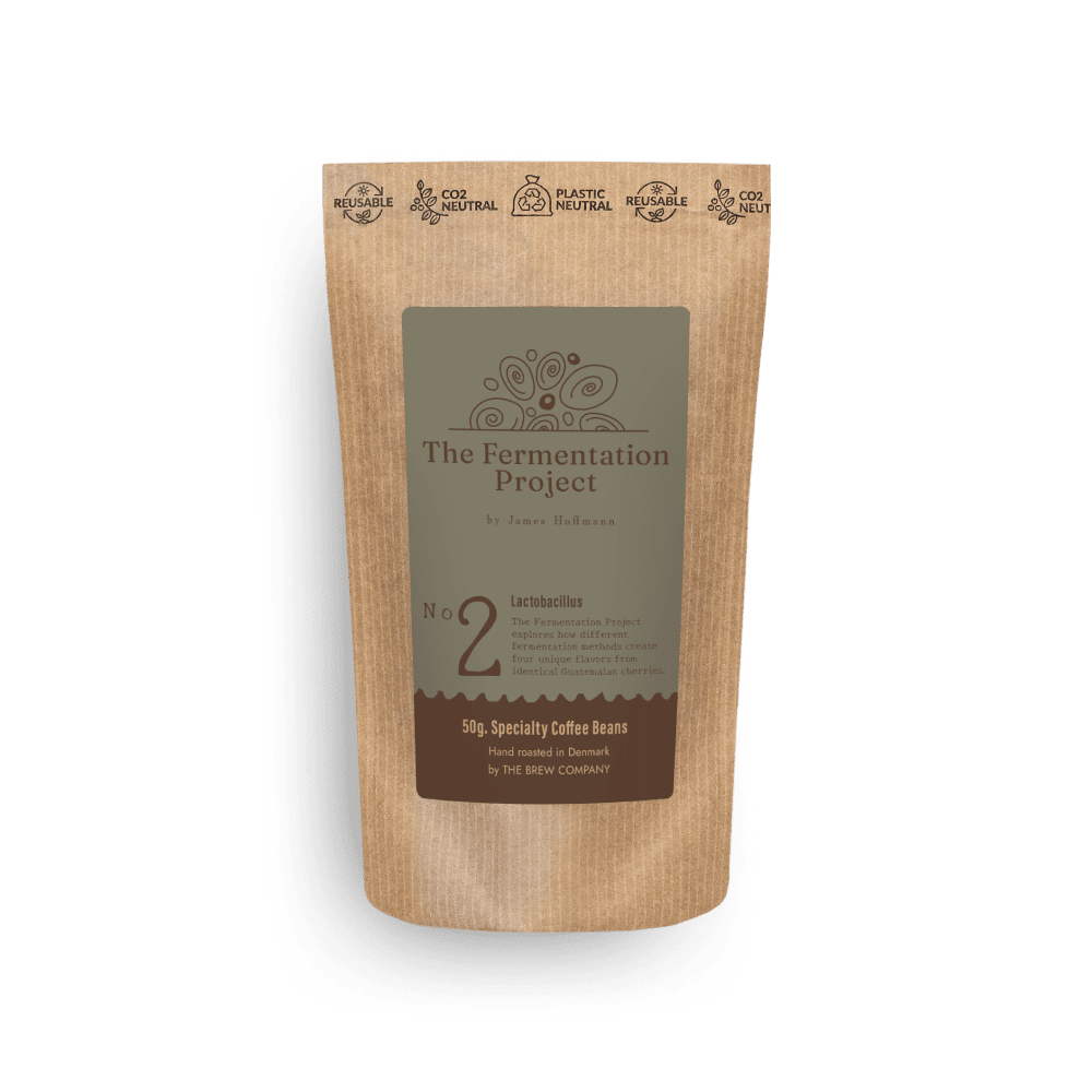 Fermentation Project