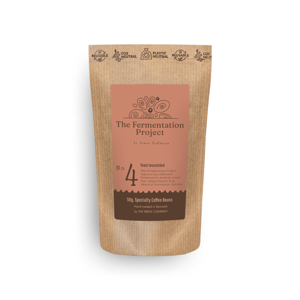 Fermentation Project