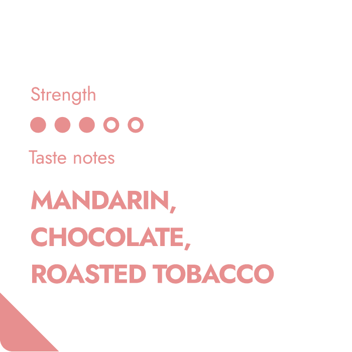NICARAGUA SPECIALTY COFFEE BEANS
